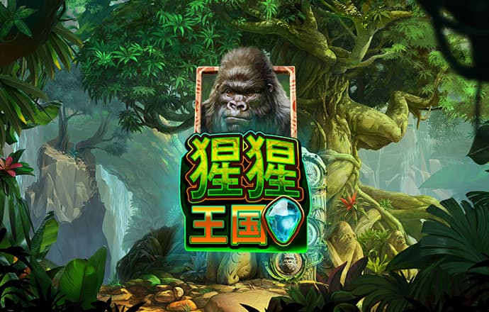 维基体育官方网站